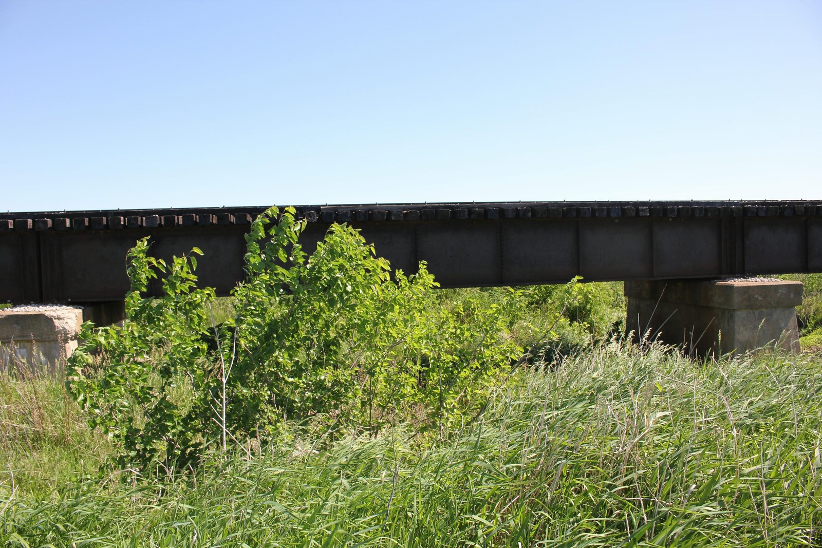 Center span